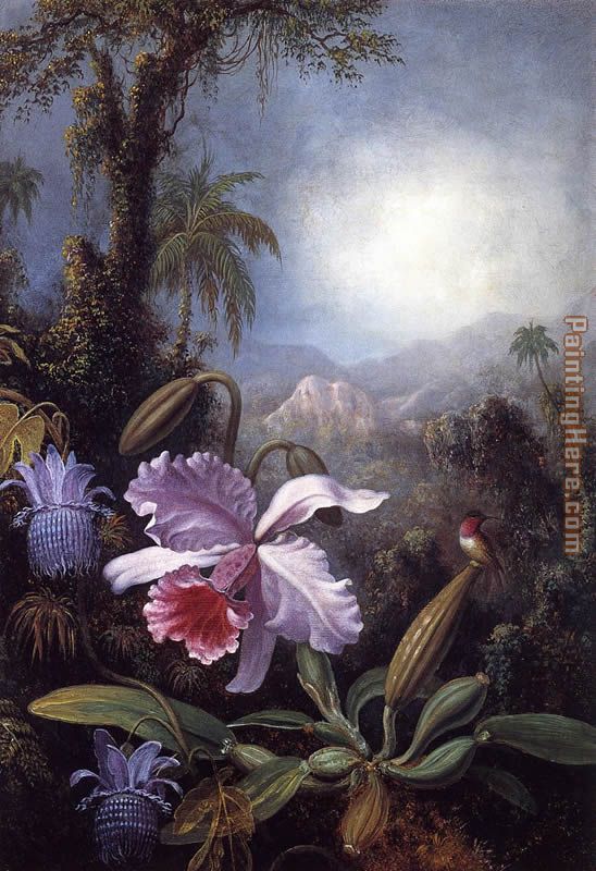 Orchids, Passion Flowers and Hummingbird painting - Martin Johnson Heade Orchids, Passion Flowers and Hummingbird art painting